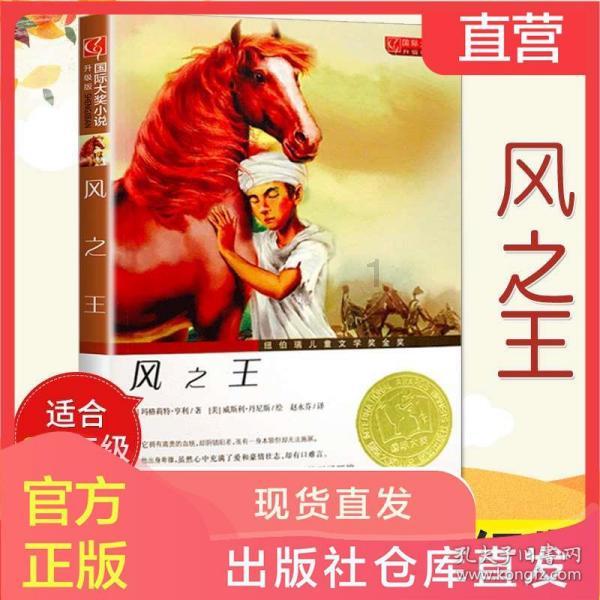 失忆的流浪者